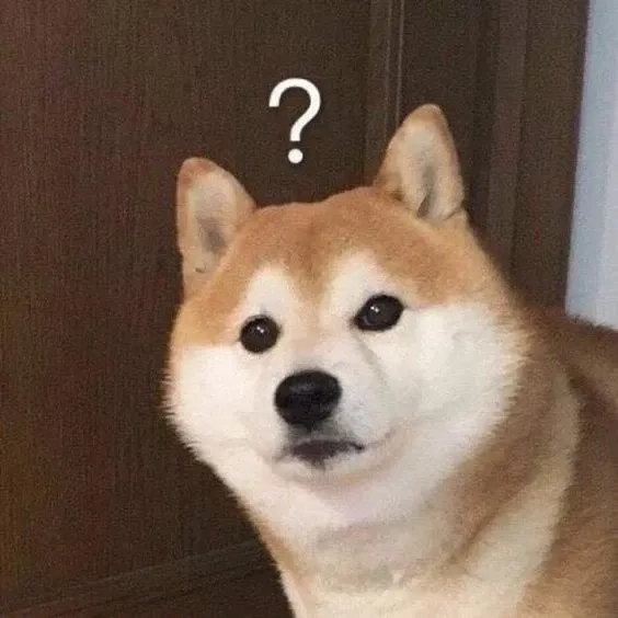 Ảnh meme doge ngộ nghĩnh và thú vị trong mọi tình huống