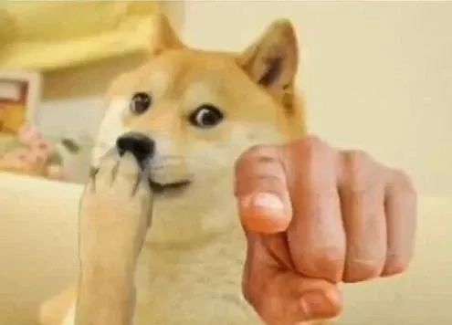 Meme doge cheems hài hước và thú vị phù hợp để chia sẻ