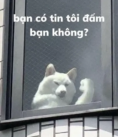 Meme coin doge mang lại tiếng cười với phong cách độc đáo