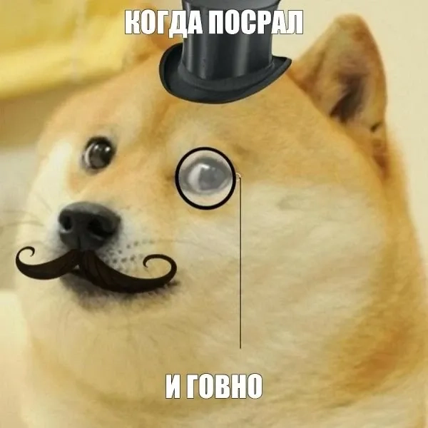 Doge bonk meme ngộ nghĩnh và đáng yêu trong mọi tình huống