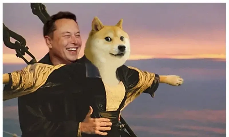 Doge meme cheems sáng tạo với các biểu cảm đáng yêu thú vị