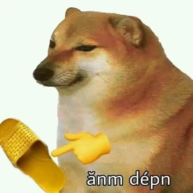 Doge shiba inu dog meme đáng yêu với các biểu cảm ngộ nghĩnh