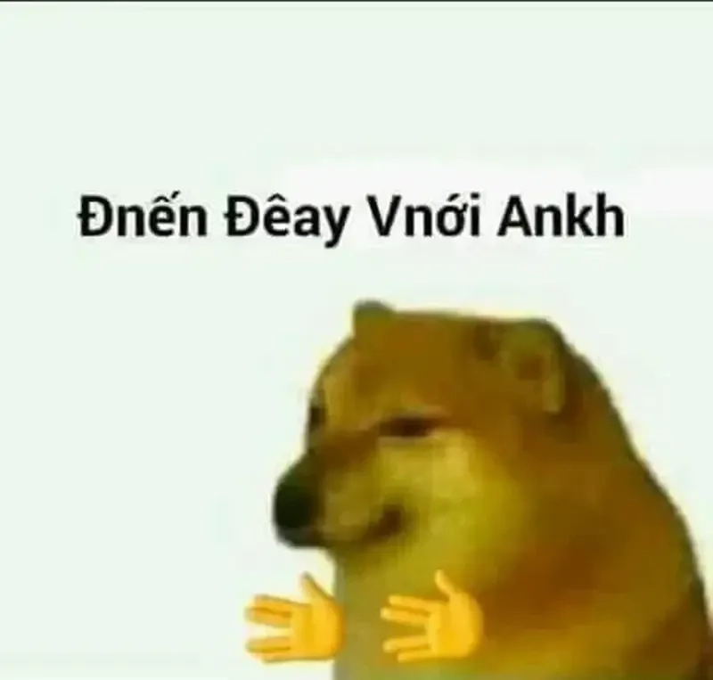 Doge bonk meme châm biếm nhẹ nhàng với các biểu cảm độc đáo