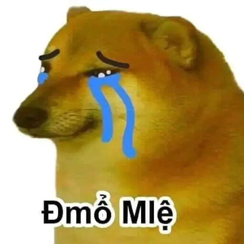 Cheems doge meme png sáng tạo với hình ảnh ngộ nghĩnh và thú vị