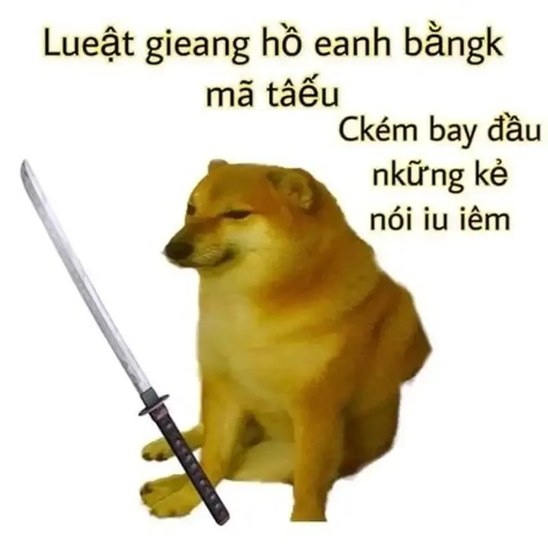 Hình doge meme sáng tạo với các tình huống hài hước thú vị