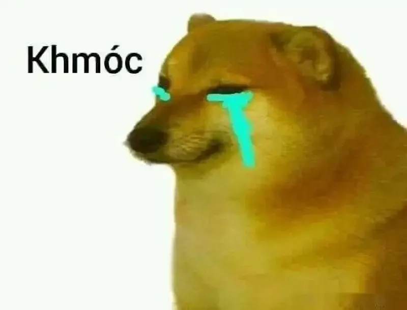 Meme dogs hài hước với các biểu cảm độc đáo và thú vị