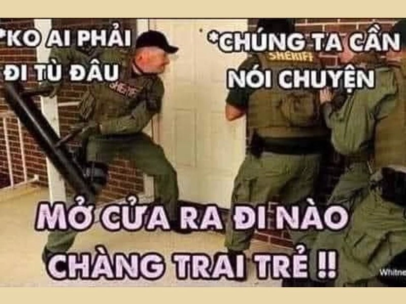 Meme báo cảnh sát thú vị và hài hước dễ dàng chia sẻ