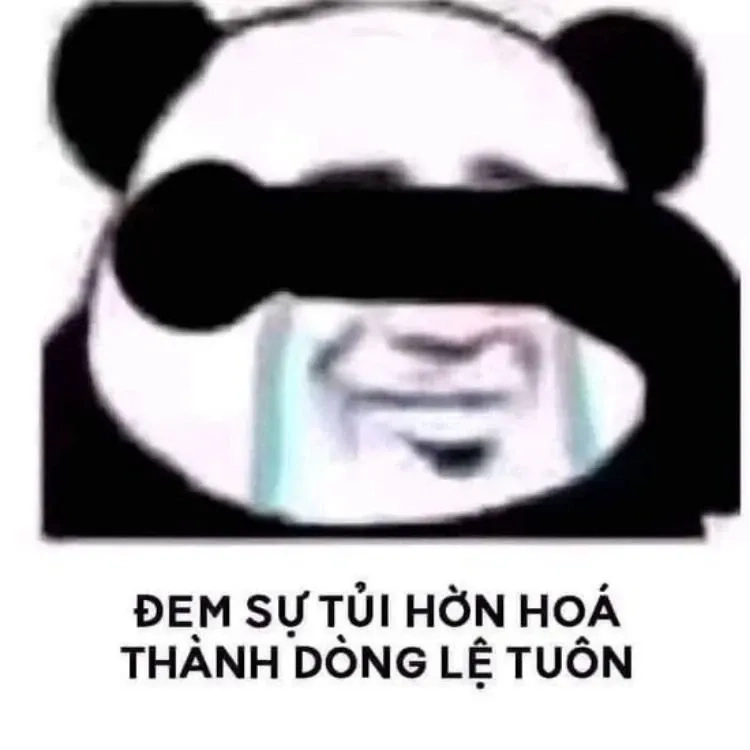 Troll face meme gấu bựa weibo hài hước và ngộ nghĩnh