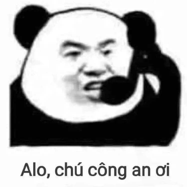 Meme gấu weibo với biểu cảm độc đáo và hài hước