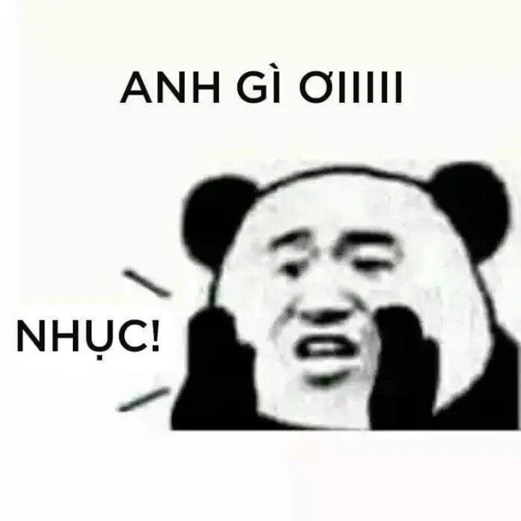 Meme gấu xin lỗi mang lại cảm giác hài hước thú vị