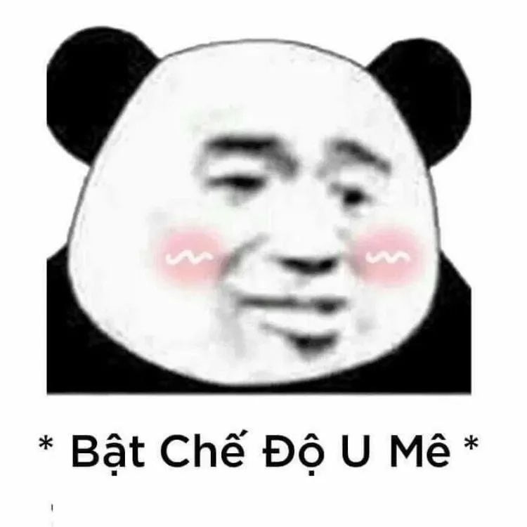 Meme gấu cute dễ thương và ngộ nghĩnh phù hợp để chia sẻ