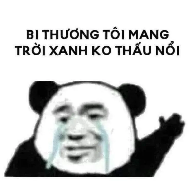 Ảnh meme gấu dễ thương với phong cách hài hước sáng tạo