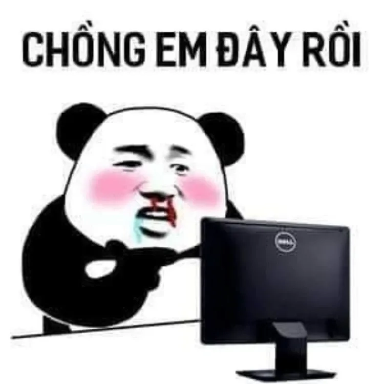 Mắt gấu meme hài hước với biểu cảm độc đáo và thú vị