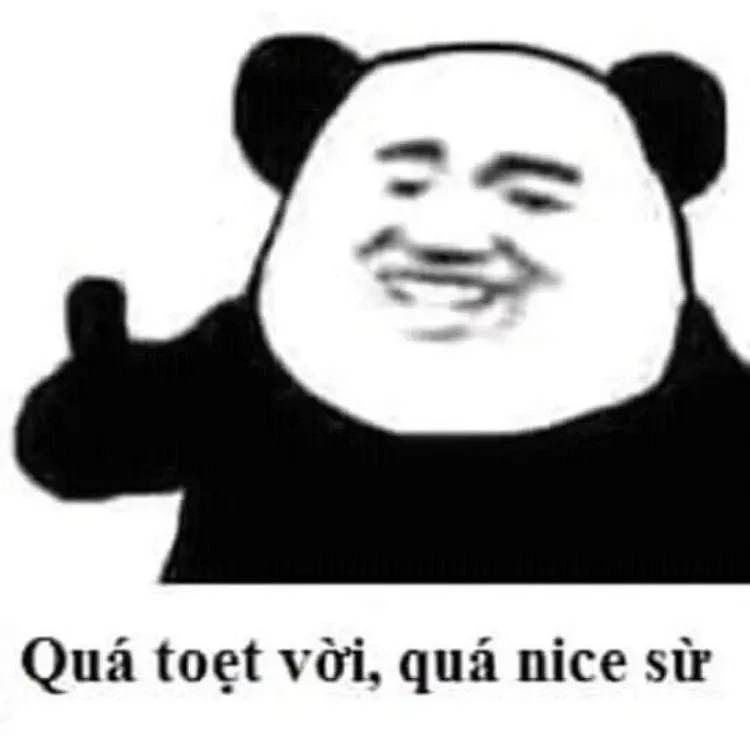 Meme gấu Trung Quốc nổi bật với nét mặt ngộ nghĩnh