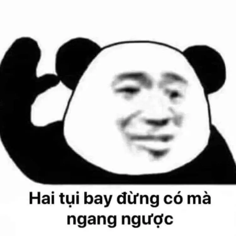 Meme gấu tức giận thú vị với hình ảnh ngộ nghĩnh