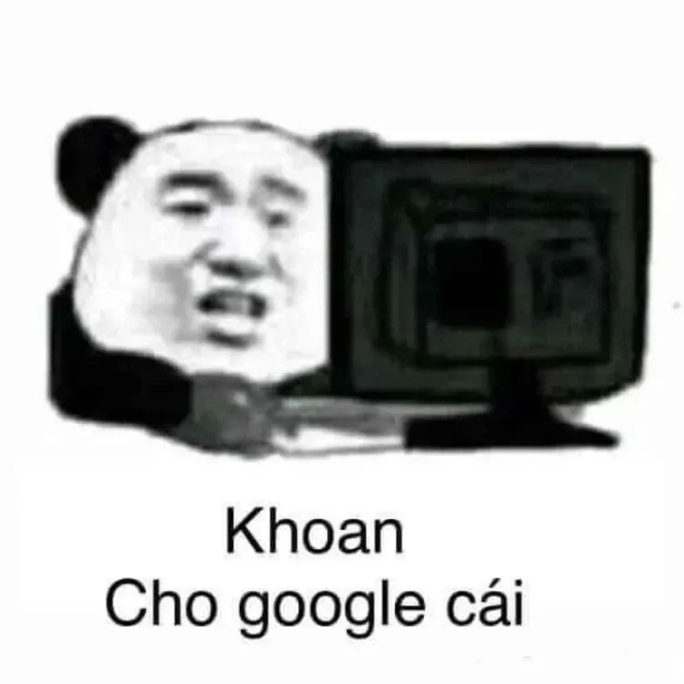 Meme gấu mắt thâm hài hước và đáng yêu trong mọi hoàn cảnh