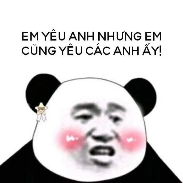 Meme gấu ok hài hước và thú vị trong mọi tình huống