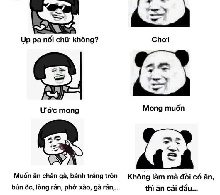 Gấu meme Trung Quốc thú vị và đáng yêu trong mọi hoàn cảnh