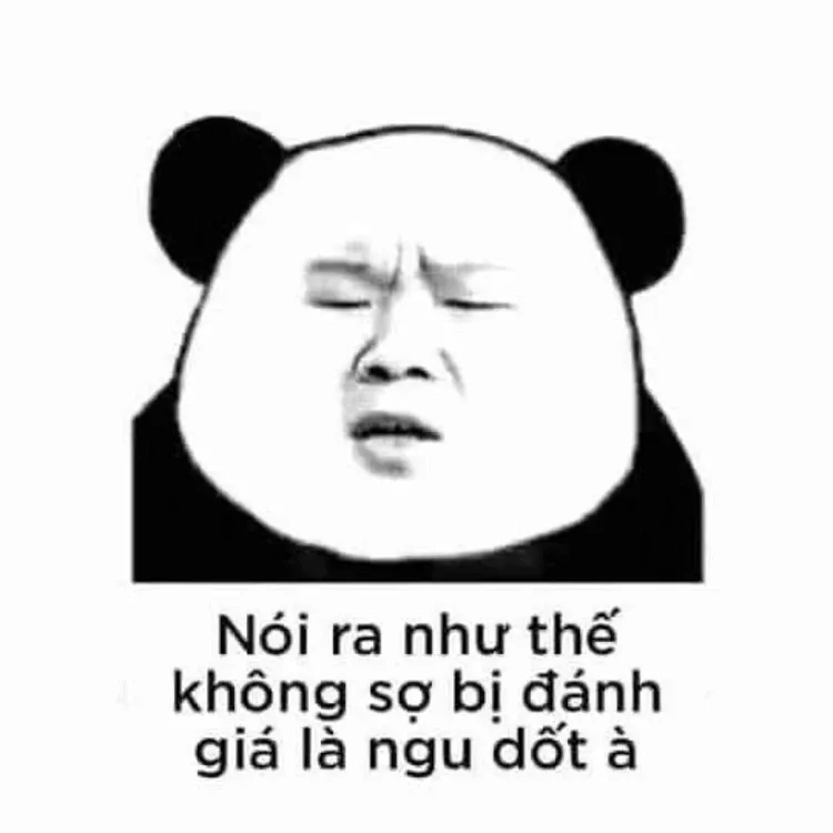 Meme gấu hài thú vị và sáng tạo phù hợp để giải trí