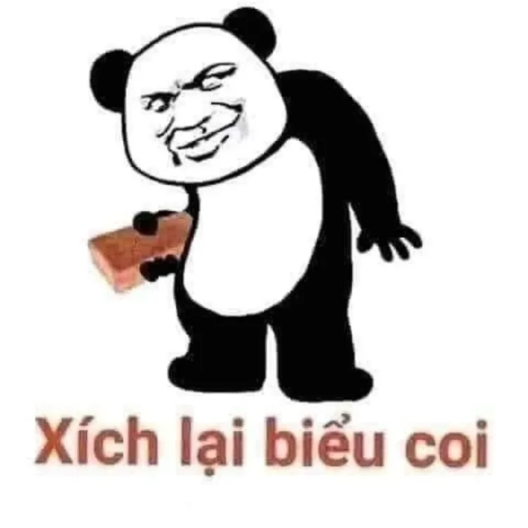 Meme con gấu dễ thương và phù hợp để chia sẻ cùng bạn bè