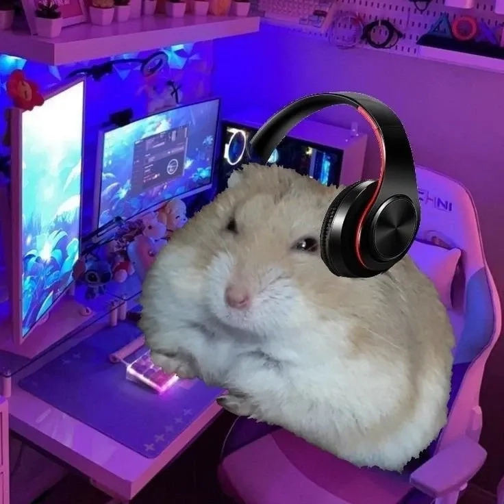 Sad hamster meme gif dễ thương dành cho người yêu động vật