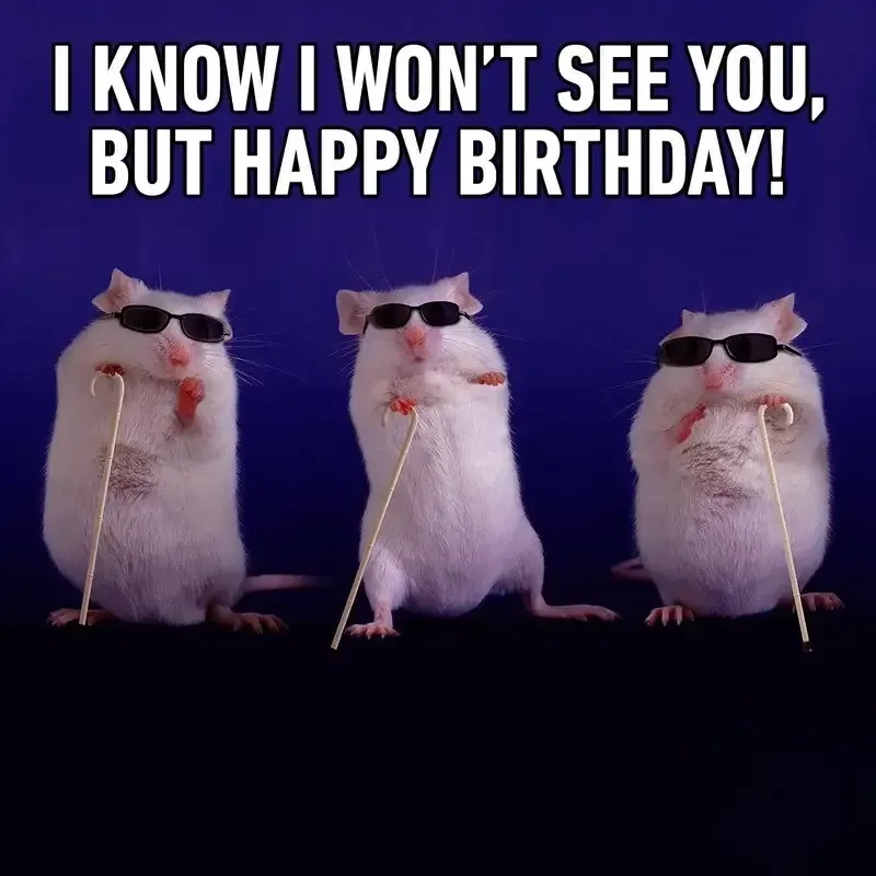 Happy birthday meme chúc mừng sinh nhật thú vị và độc đáo