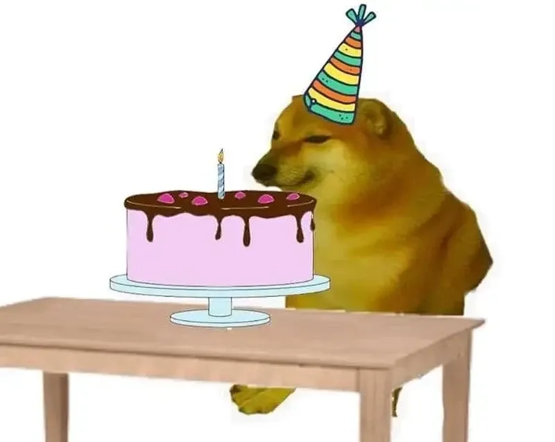 Meme cat happy birthday ngộ nghĩnh và đáng yêu phù hợp để chia sẻ