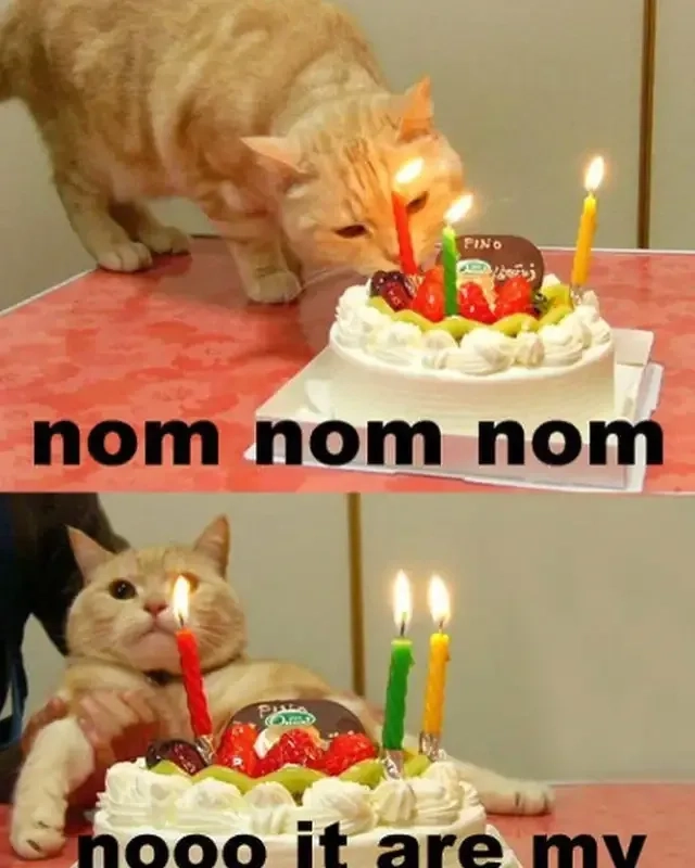 Happy birthday meme for her đáng yêu và lãng mạn để gửi lời chúc