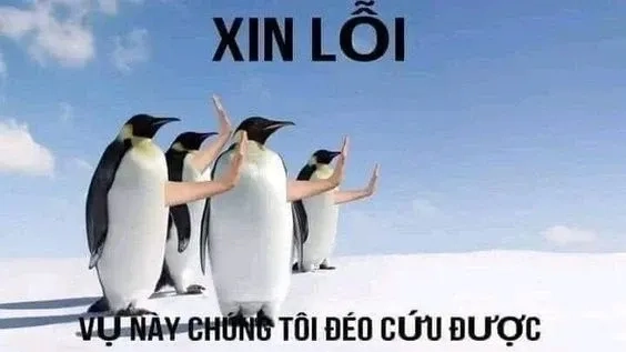 Không cứu được meme với các biểu cảm độc lạ và hài hước