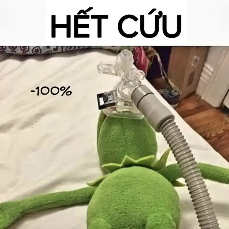 Meme giải cứu với hình ảnh độc đáo và thú vị mang lại tiếng cười