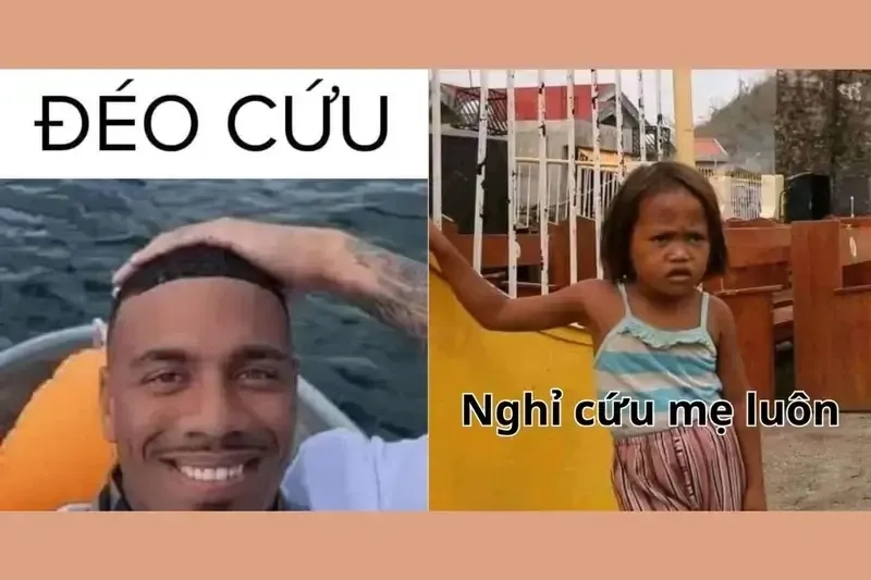 Meme hết cứu mèo hài hước và đáng yêu dành cho mọi lứa tuổi