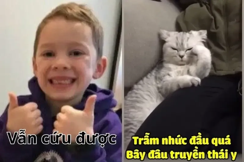 Cứu tui cứu tui meme với biểu cảm thú vị và sáng tạo không ngừng