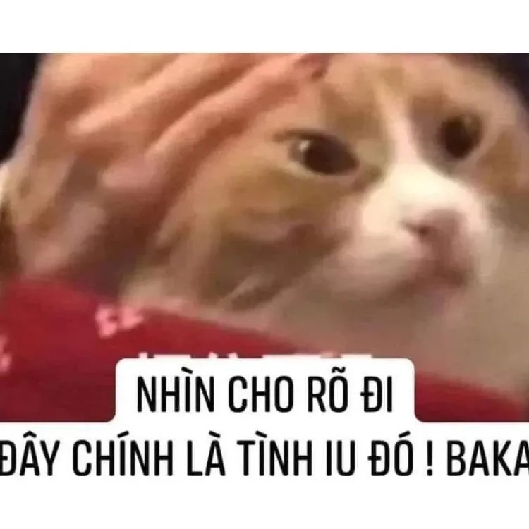 Ảnh meme i love you dễ thương và sáng tạo mang lại cảm giác ấm áp