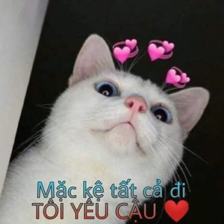 Ảnh love meme hài hước và dễ thương phù hợp để chia sẻ