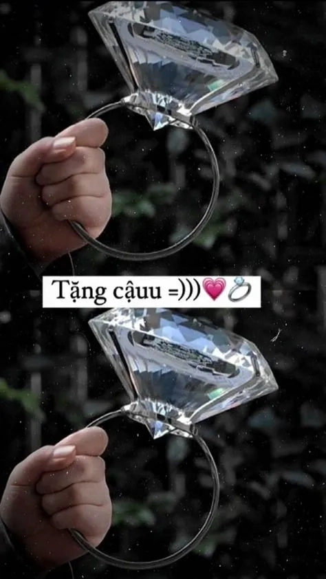 Meme xin lỗi hài dễ thương với biểu cảm hài hước và độc đáo