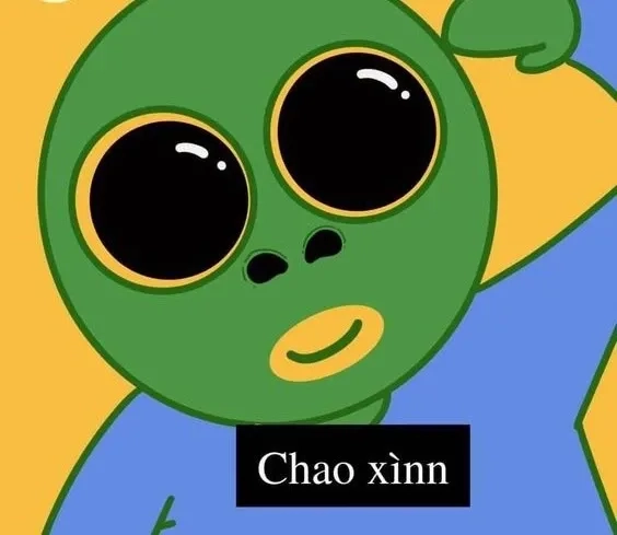 Meme gấu trúc xin chào ngộ nghĩnh và dễ thương khó cưỡng