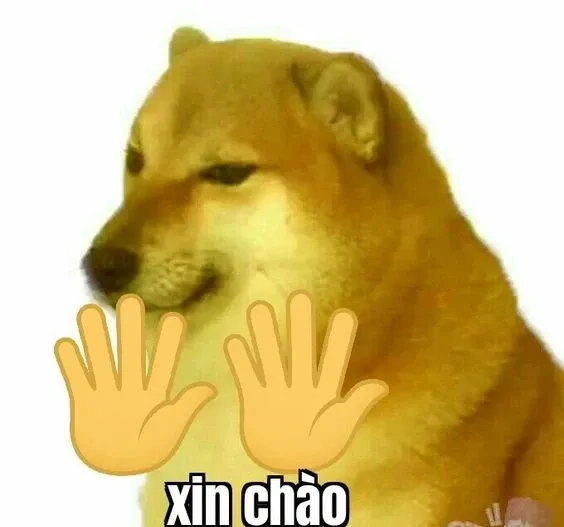 Meme xin chào hài hước mang lại tiếng cười thú vị