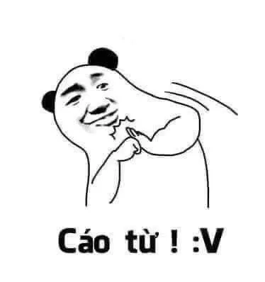 Meme mèo chào buổi sáng cực dễ thương và ngộ nghĩnh