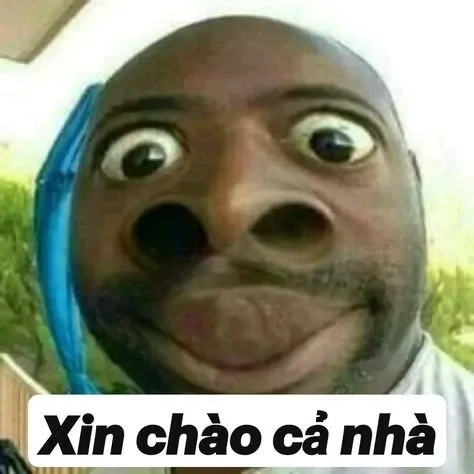 Meme chào mọi người với biểu cảm đáng yêu đầy ấn tượng