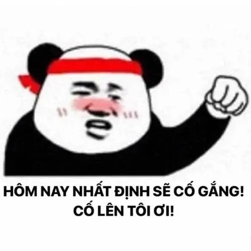 Meme tôi đang cố giải thích với biểu cảm hài hước