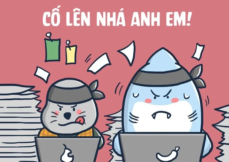 Cốc cốc cốc meme hài hước phù hợp để chia sẻ niềm vui