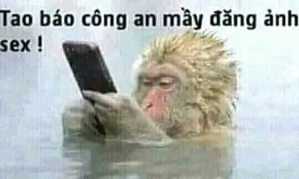 Meme bị công an bắt với hình ảnh sáng tạo thú vị