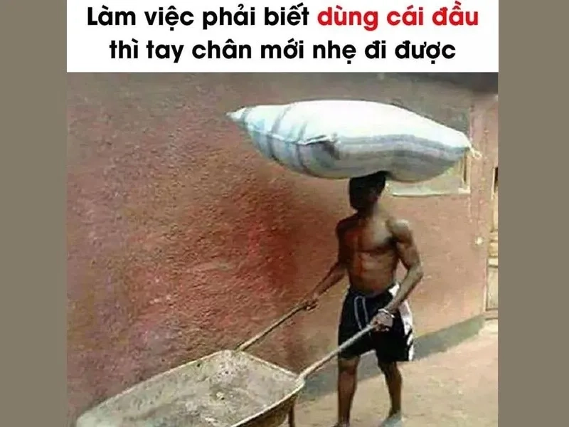 Da đen tóc ngắn meme ngộ nghĩnh và đáng yêu phù hợp để chia sẻ