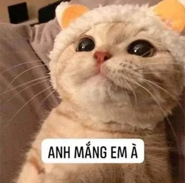 Meme chúc ngủ ngon đáng yêu dễ thương với hình ảnh độc đáo