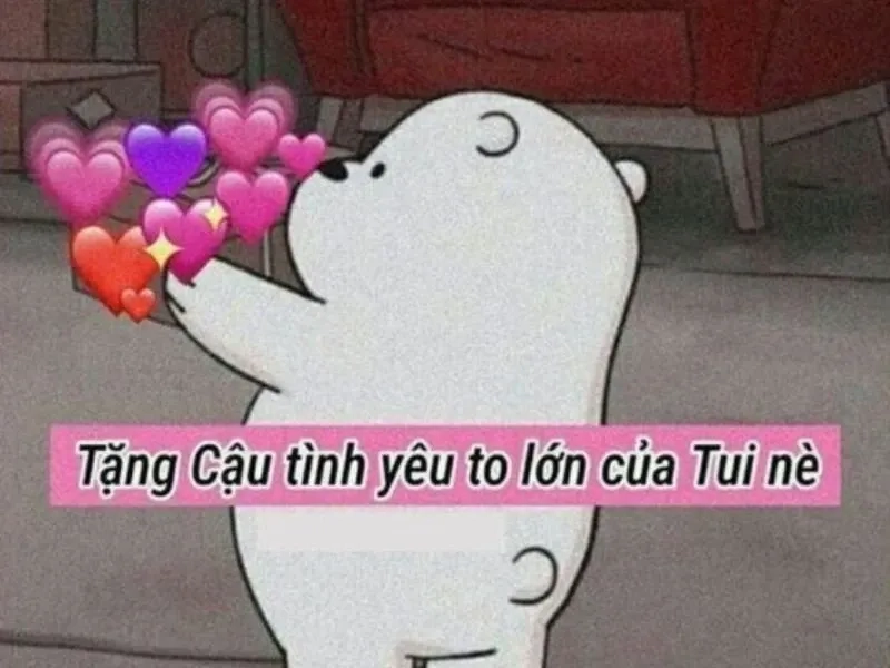 Mèo meme cute đáng yêu với biểu cảm hài hước và độc đáo