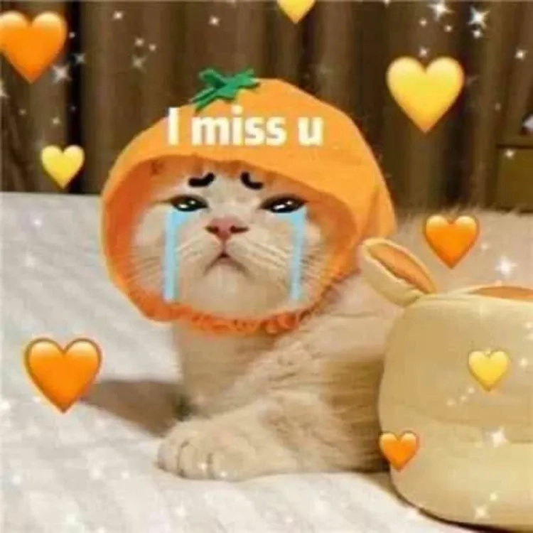 Meme tức giận cute ngộ nghĩnh với biểu cảm dễ thương thú vị