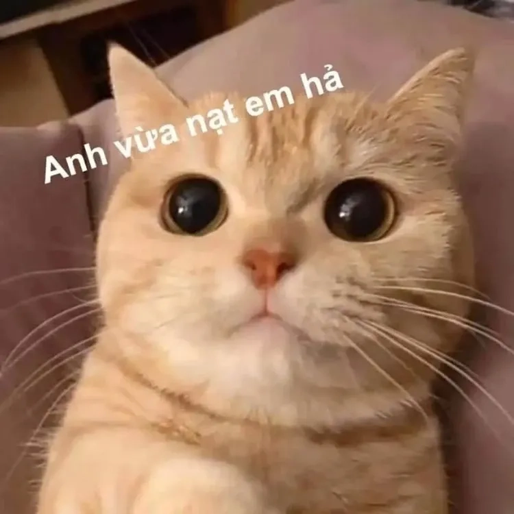 Meme dỗi cute dễ thương với tình huống hài hước và sáng tạo