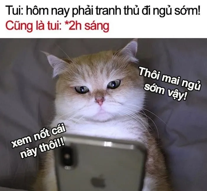 Buồn ngủ quá meme với hình ảnh hài hước đầy sáng tạo