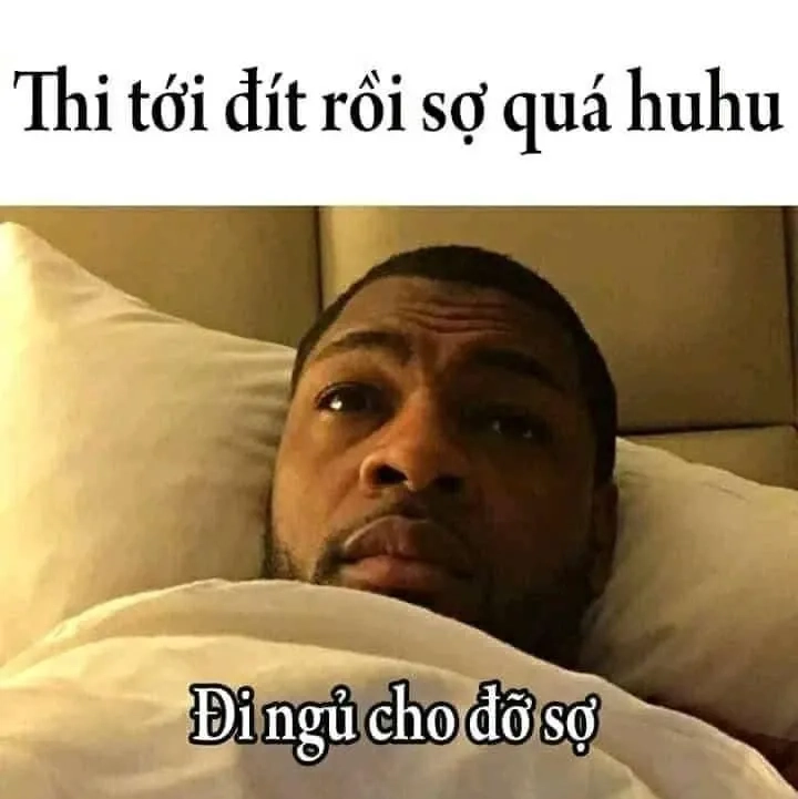 Ảnh meme ngủ với biểu cảm thư giãn dễ thương