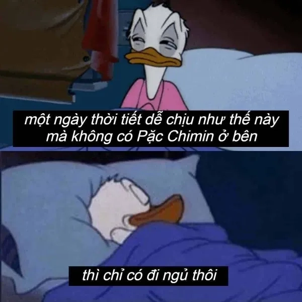 Meme mèo ngủ dậy với biểu cảm vui nhộn và độc đáo